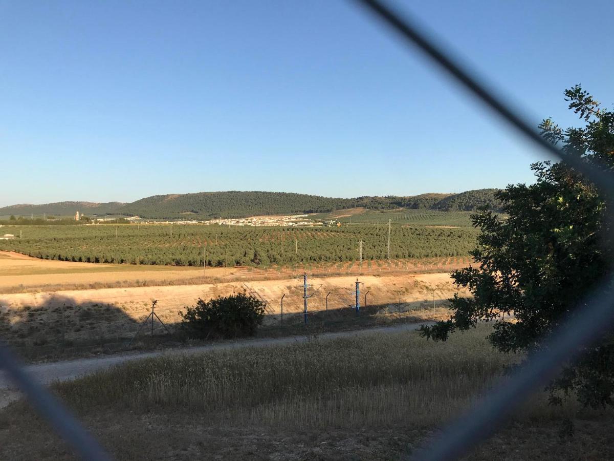 Cortijo Vista Alegre Villa Fuente de Piedra Dış mekan fotoğraf
