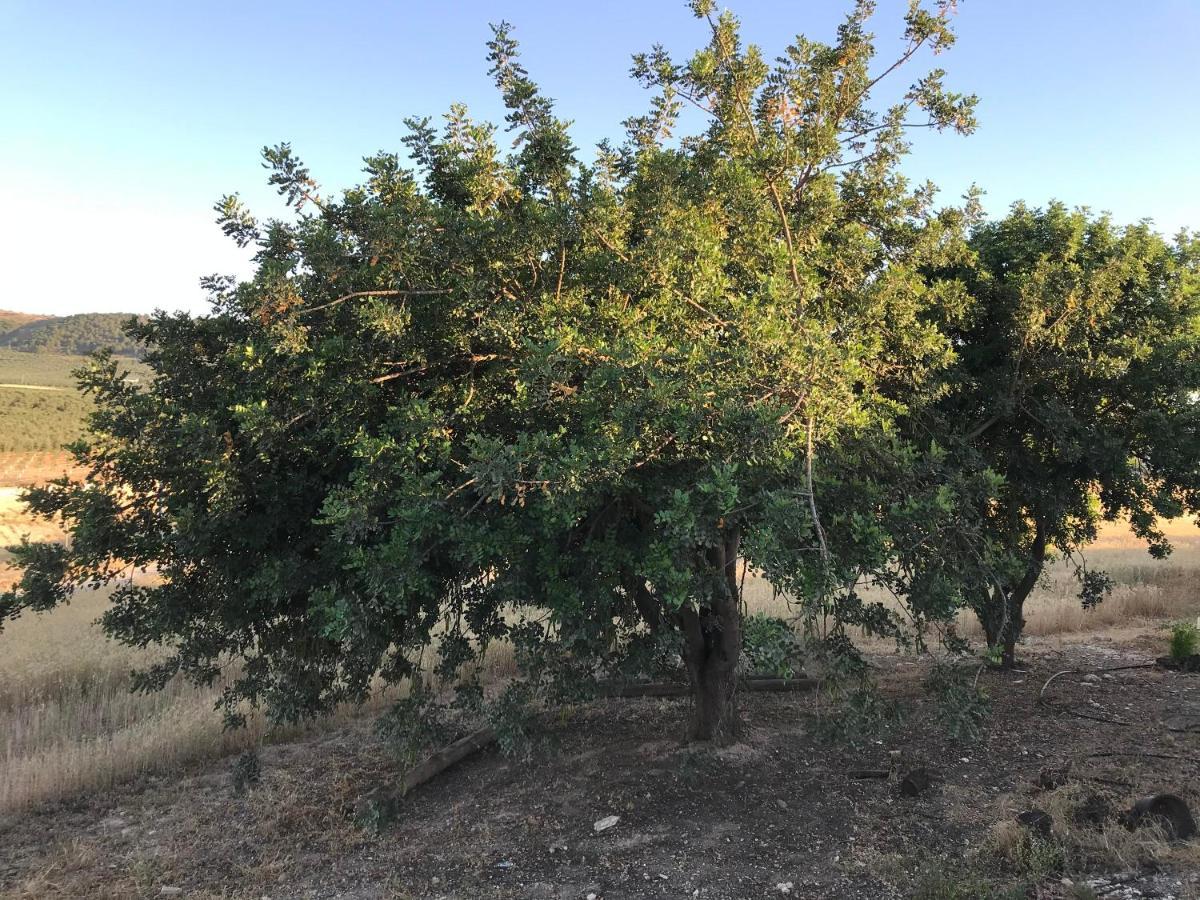 Cortijo Vista Alegre Villa Fuente de Piedra Dış mekan fotoğraf